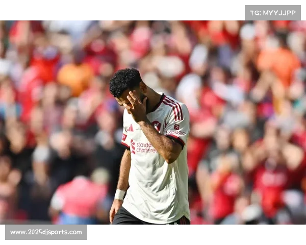 利物浦主帅斯洛特更新弗林蓬与埃基蒂克体能情况